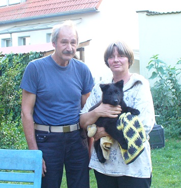 Banyo-Bandit de Geracao nova